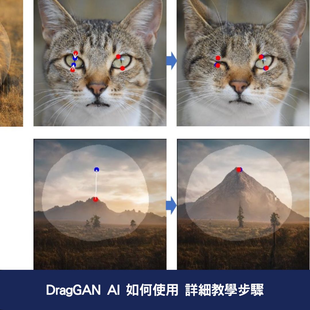 DragGAN AI 如何使用 詳細教學步驟