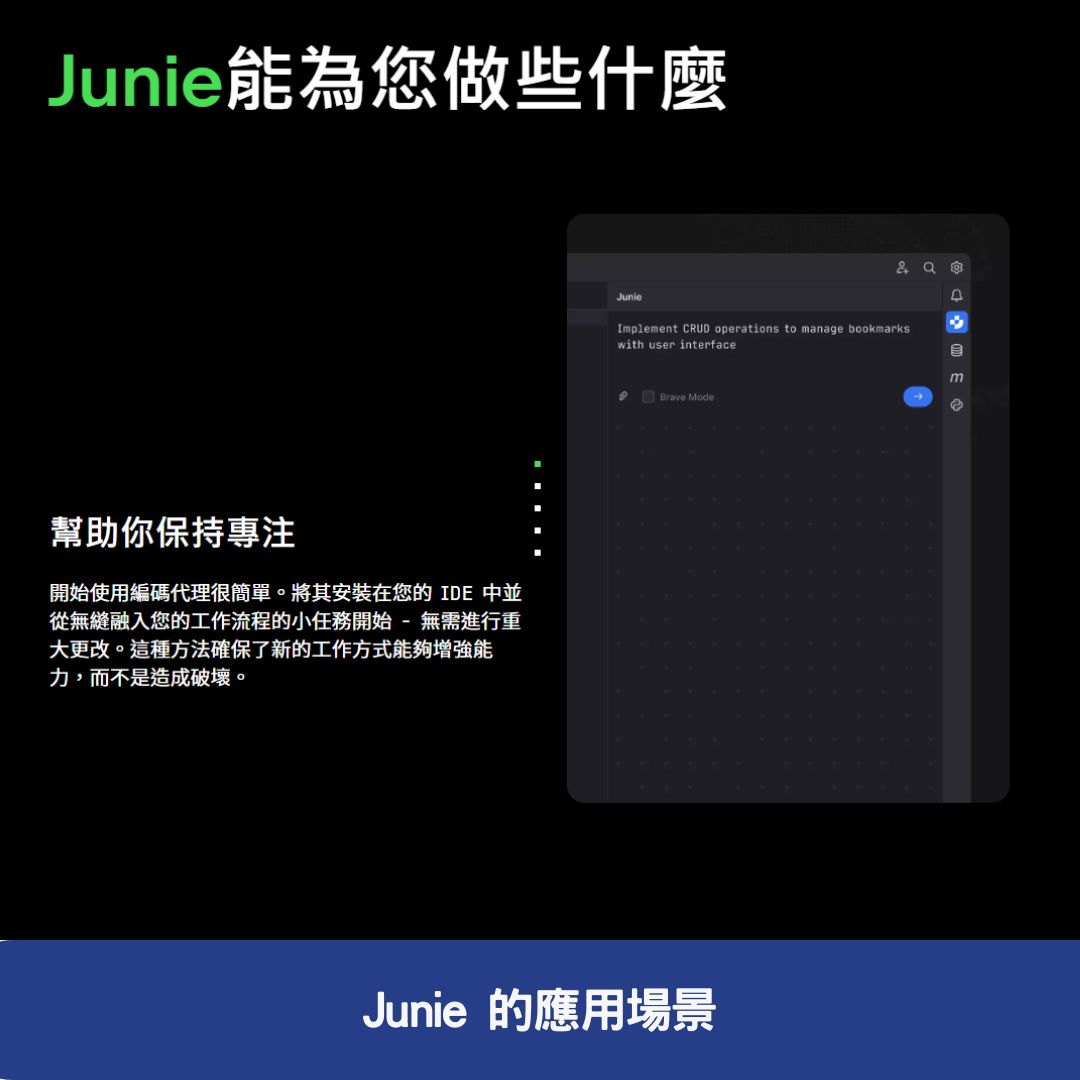 Junie 的應用場景